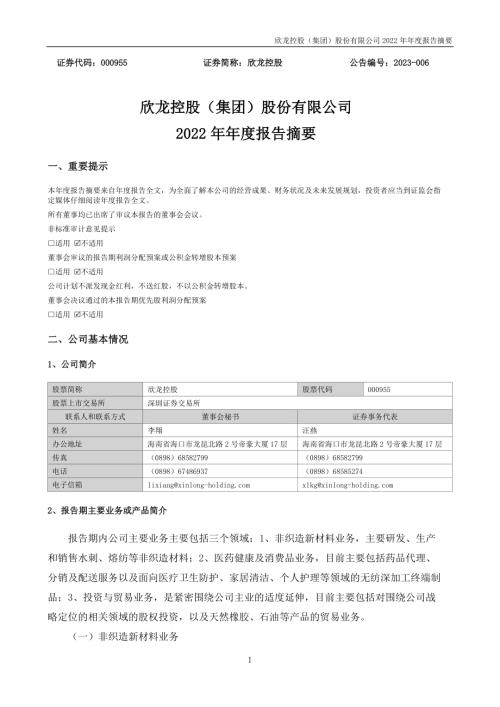 欣龙控股：2022年年度报告摘要.PDF