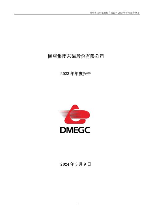 横店东磁：2023年年度报告.PDF