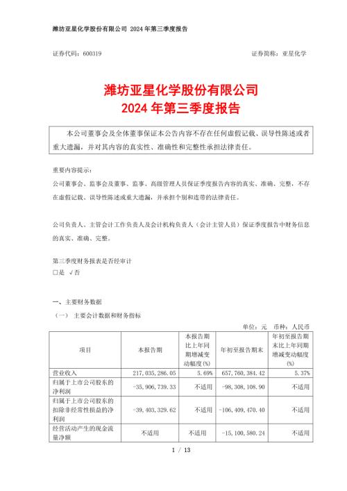 亚星化学：潍坊亚星化学股份有限公司2024年第三季度报告.pdf