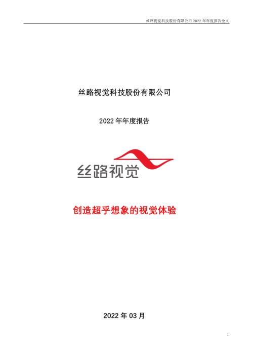 丝路视觉：2022年年度报告.PDF
