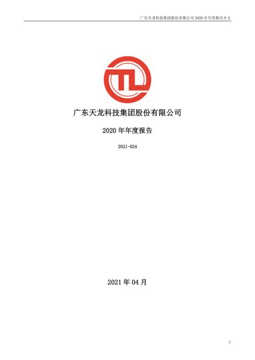 天龙集团：2020年年度报告.PDF