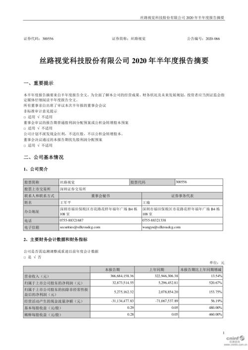 丝路视觉：2020年半年度报告摘要.PDF