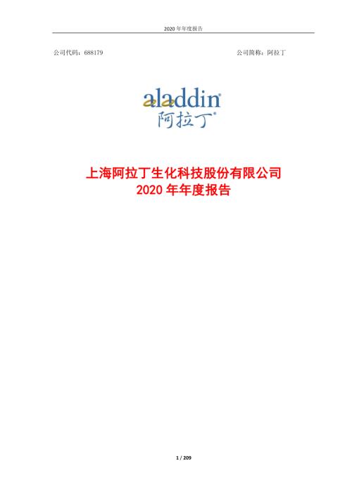 阿拉丁：阿拉丁2020年年度报告.PDF