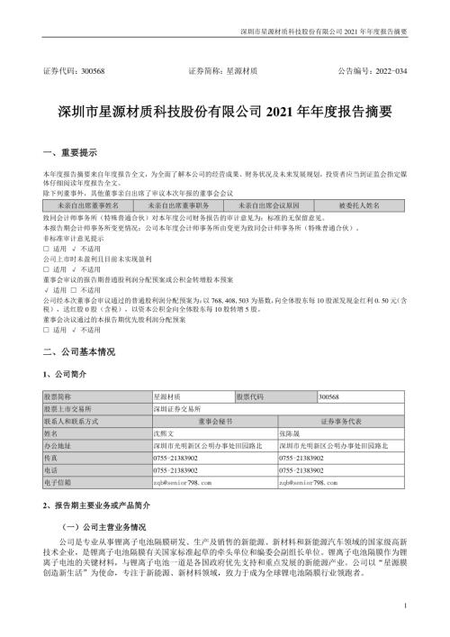 星源材质：2021年年度报告摘要.PDF
