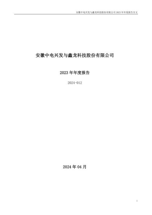 中电兴发：2023年年度报告.PDF