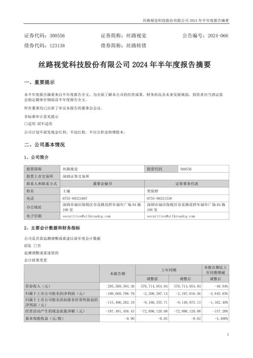 丝路视觉：2024年半年度报告摘要.PDF