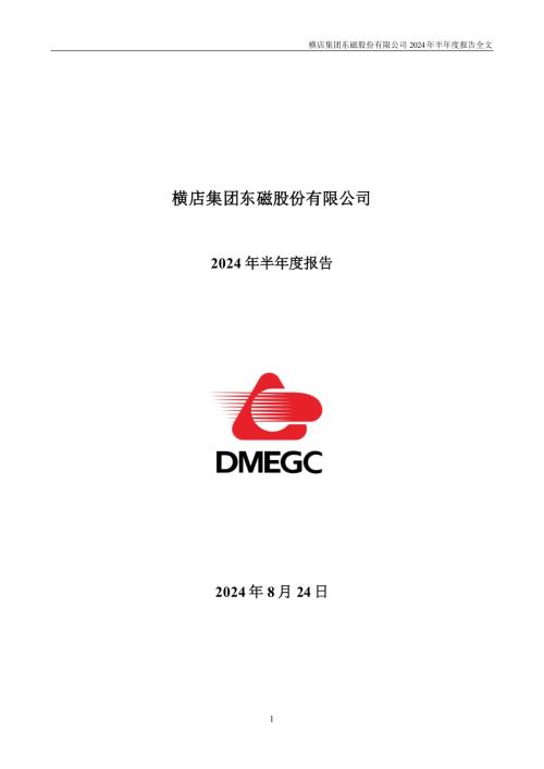 横店东磁：2024年半年度报告.PDF