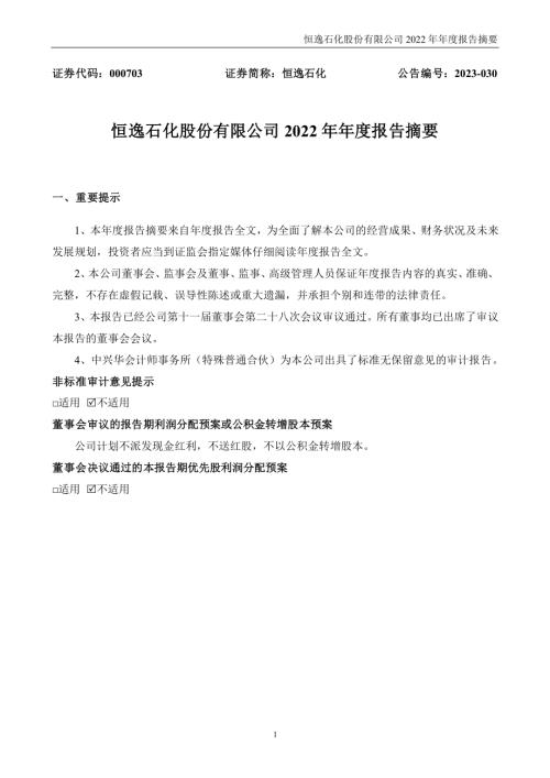 恒逸石化：2022年年度报告摘要.PDF