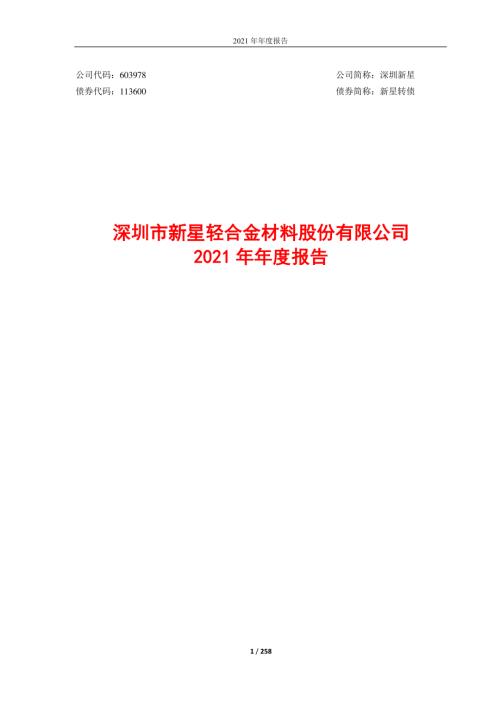 深圳新星：2021年年度报告.PDF
