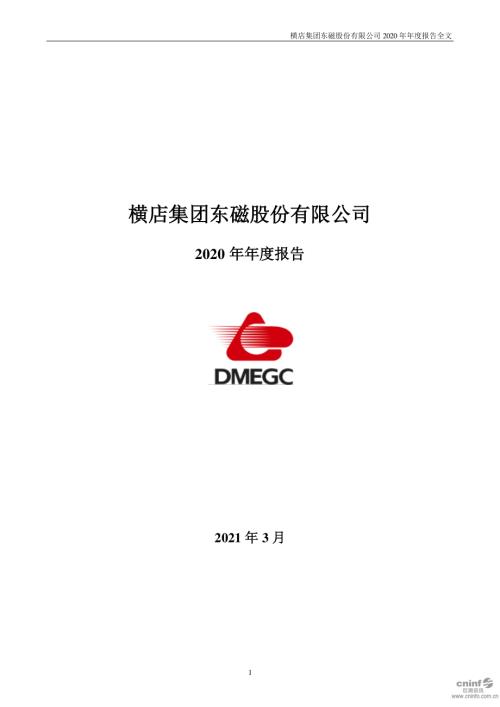 横店东磁：2020年年度报告.PDF