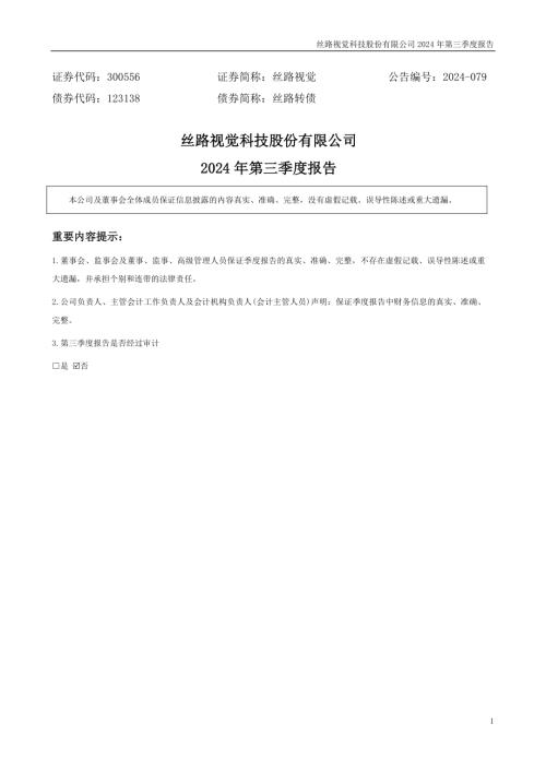 丝路视觉：2024年三季度报告.PDF