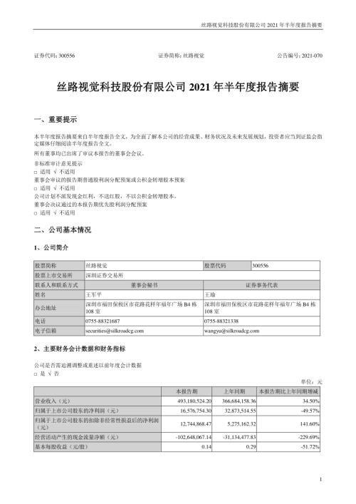 丝路视觉：2021年半年度报告摘要.PDF