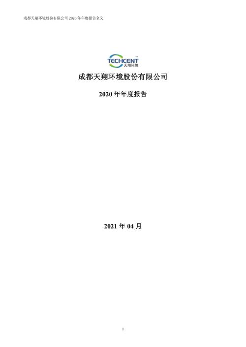 天翔环境：2020年年度报告.PDF