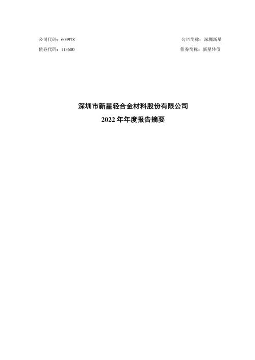 深圳新星：2022年年度报告摘要.PDF
