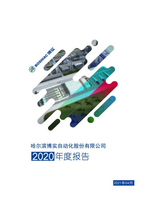 博实股份：2020年年度报告.PDF