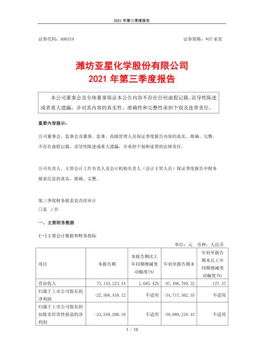 ST亚星：潍坊亚星化学股份有限公司2021年第三季度报告.PDF