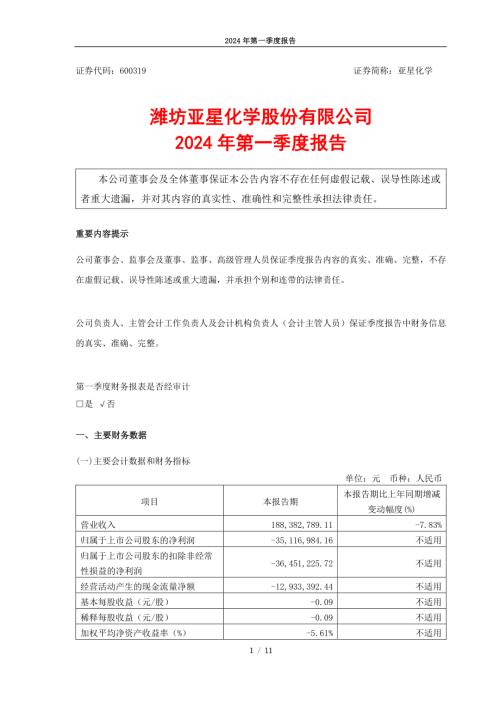 亚星化学：潍坊亚星化学股份有限公司2024年第一季度报告.PDF