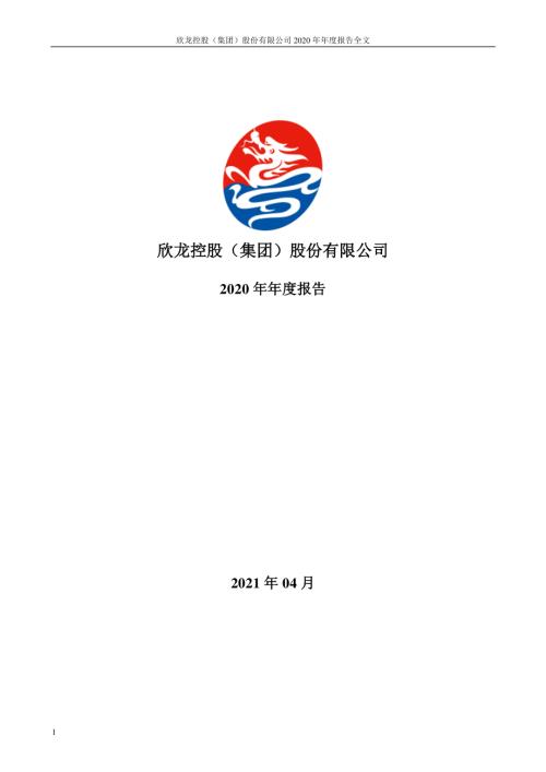 欣龙控股：2020年年度报告.PDF