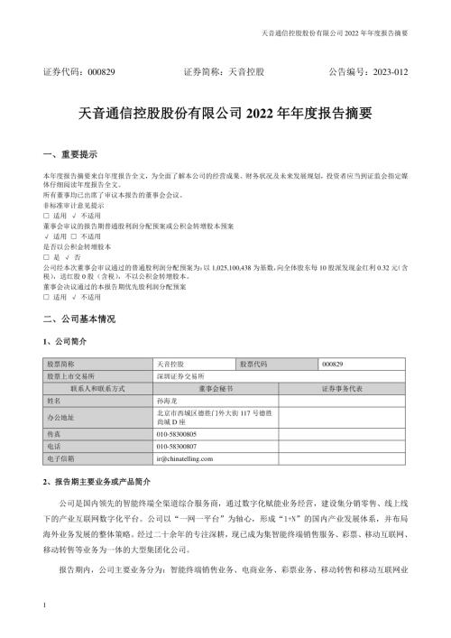 天音控股：2022年年度报告摘要.PDF