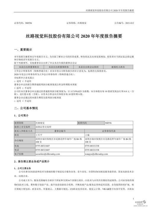 丝路视觉：2020年年度报告摘要.PDF