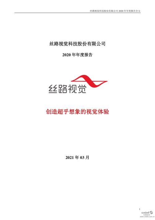 丝路视觉：2020年年度报告.PDF