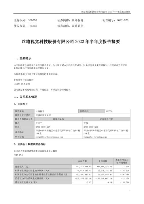 丝路视觉：2022年半年度报告摘要.PDF