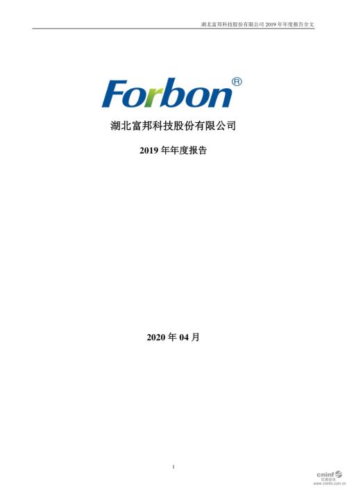 富邦股份：2019年年度报告.PDF