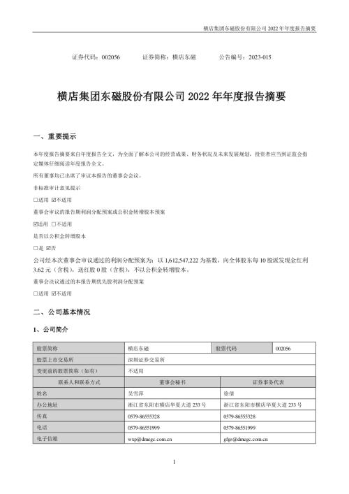 横店东磁：2022年年度报告摘要.PDF