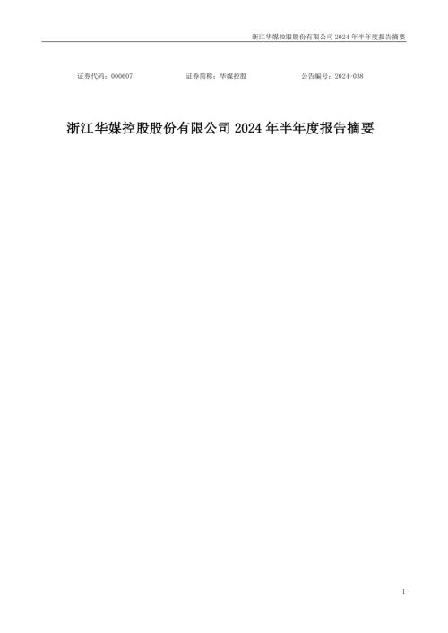 华媒控股：2024年半年度报告摘要.PDF