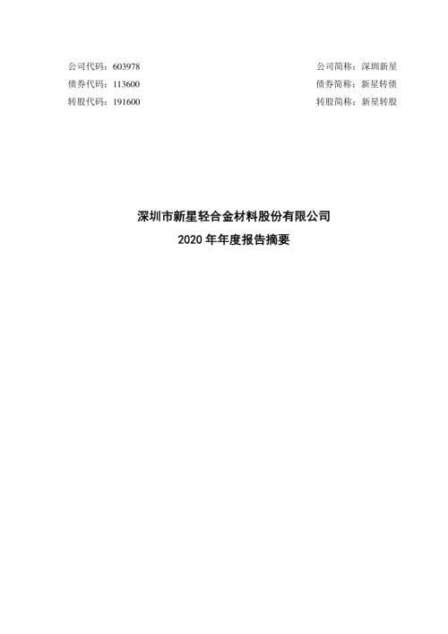 深圳新星：2020年年度报告摘要.PDF