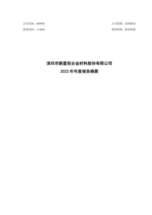 深圳新星：2023年年度报告摘要.PDF