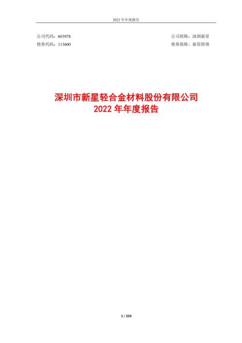 深圳新星：2022年年度报告.PDF