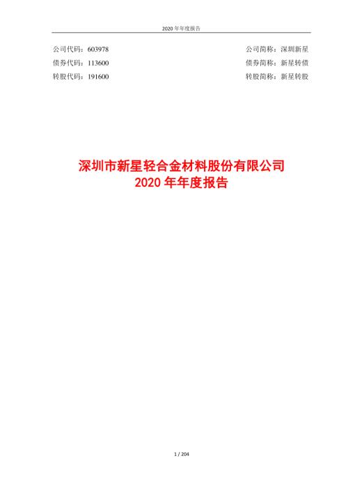深圳新星：2020年年度报告.PDF