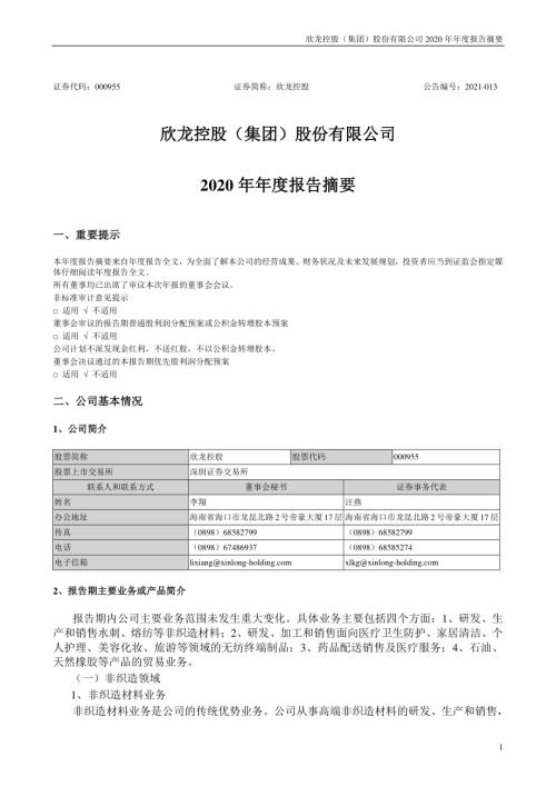 欣龙控股：2020年年度报告摘要.PDF