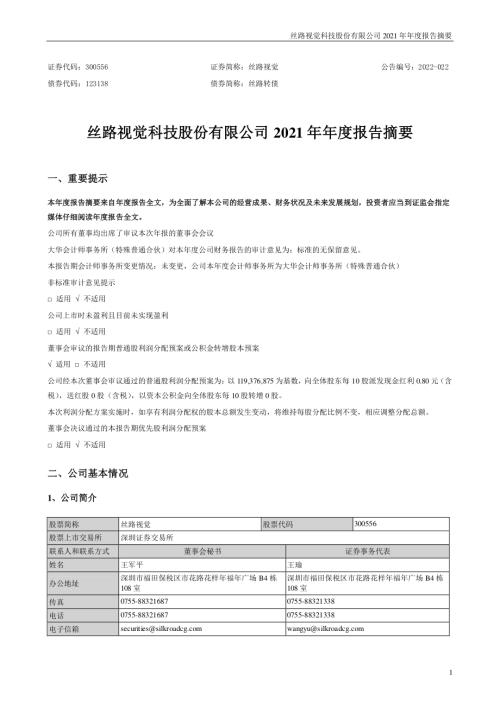 丝路视觉：2021年年度报告摘要.PDF