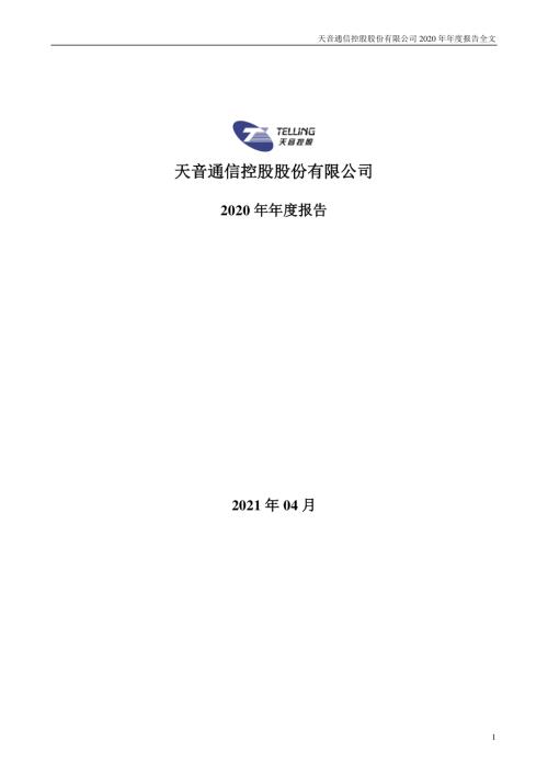 天音控股：2020年年度报告.PDF