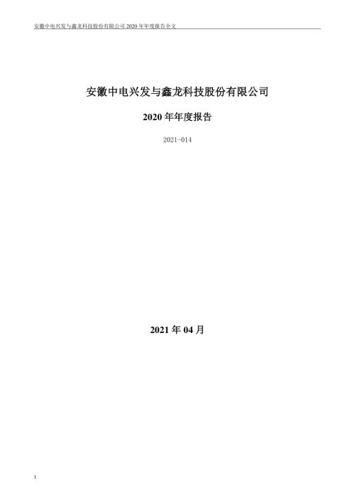 中电兴发：2020年年度报告.PDF