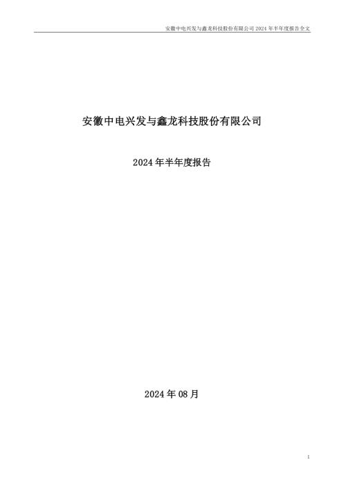 中电兴发：2024年半年度报告.PDF