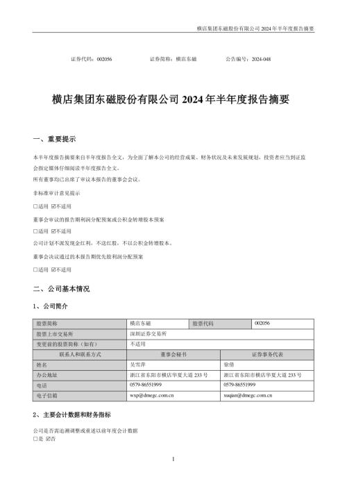 横店东磁：2024年半年度报告摘要.PDF