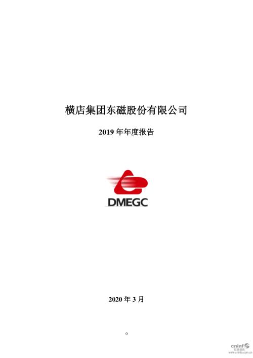 横店东磁：2019年年度报告.PDF