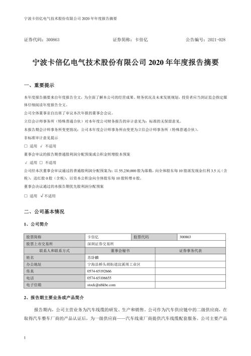 卡倍亿：2020年年度报告摘要.PDF