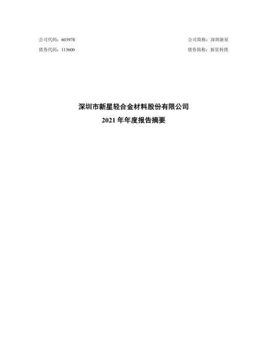 深圳新星：2021年年度报告摘要.PDF
