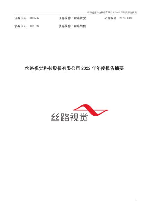 丝路视觉：2022年年度报告摘要.PDF