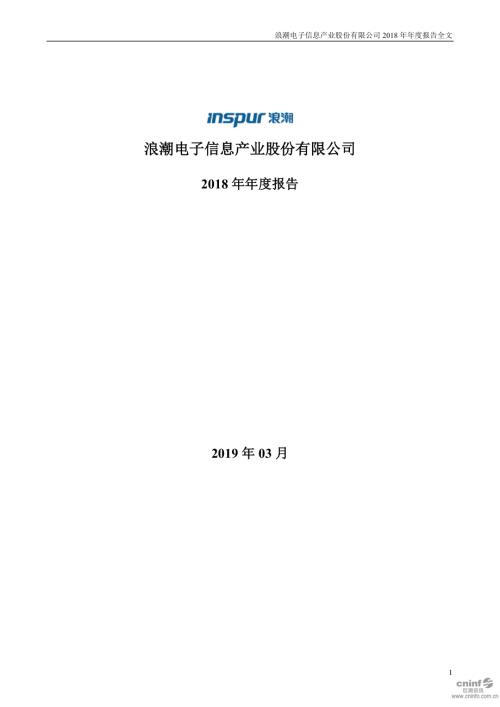 浪潮信息：2018年年度报告.PDF