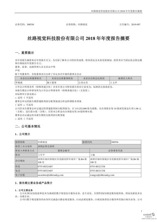 丝路视觉：2018年年度报告摘要.PDF