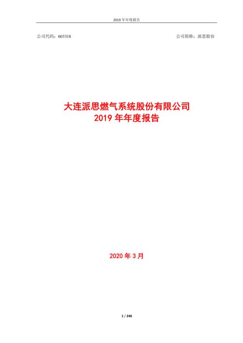 派思股份：2019年年度报告.PDF