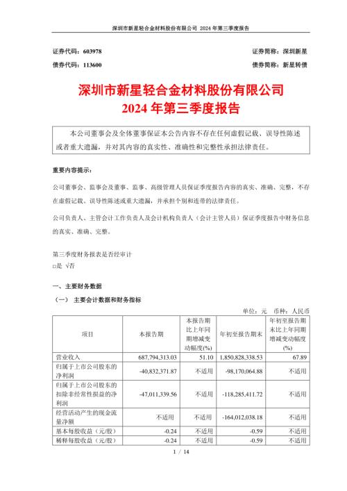 深圳新星：2024年第三季度报告.pdf
