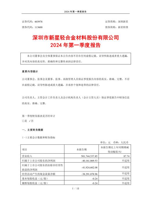 深圳新星：2024年第一季度报告.PDF
