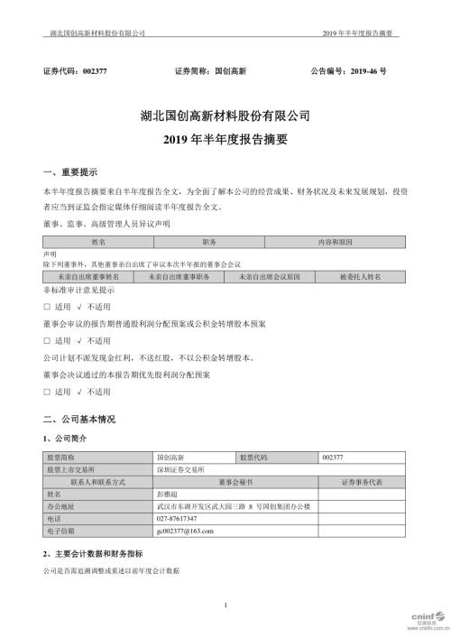 国创高新：2019年半年度报告摘要.PDF