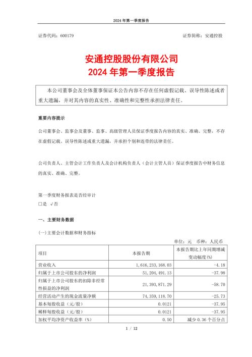 安通控股：2024年一季度报告.PDF